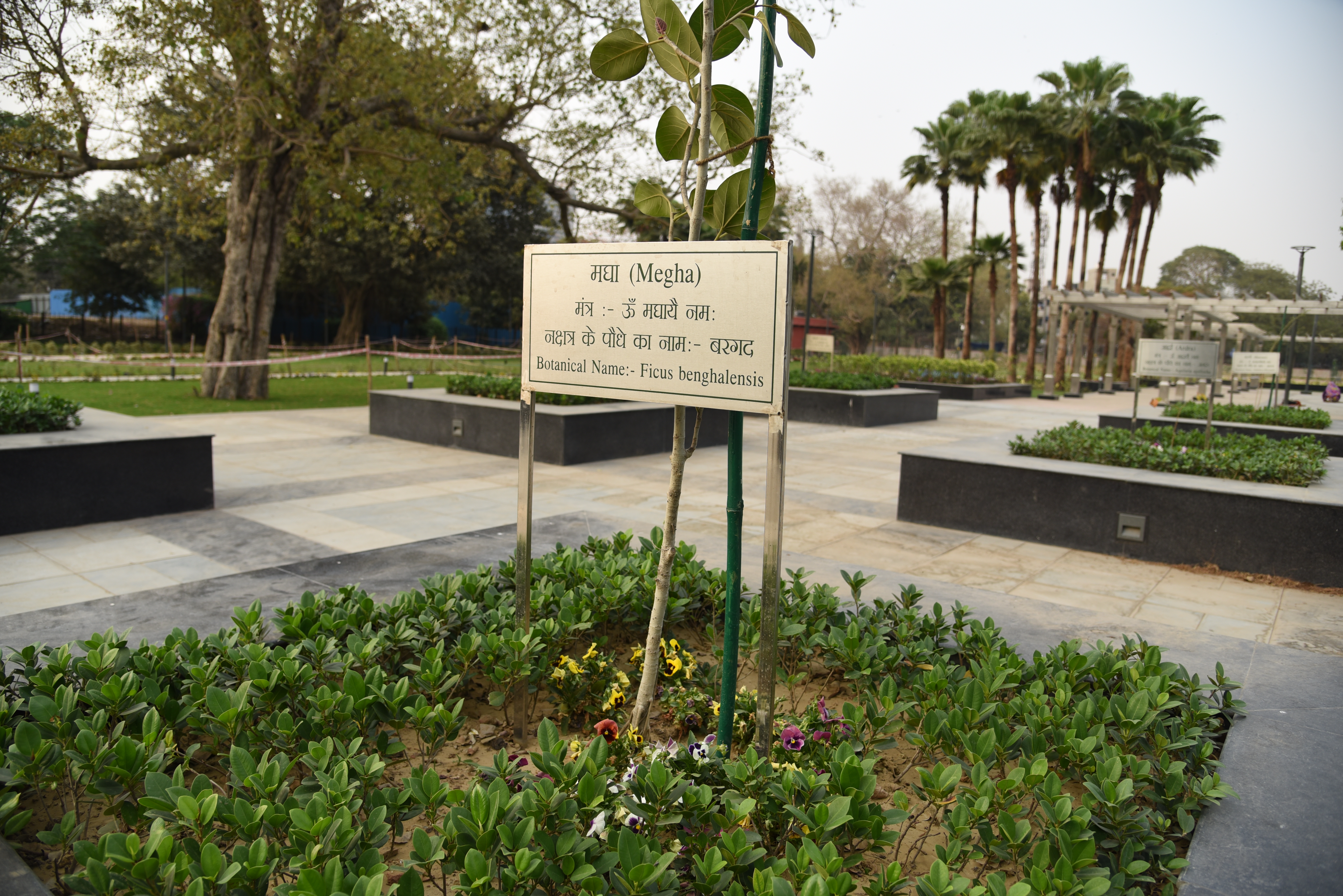 Nakshatra Garden