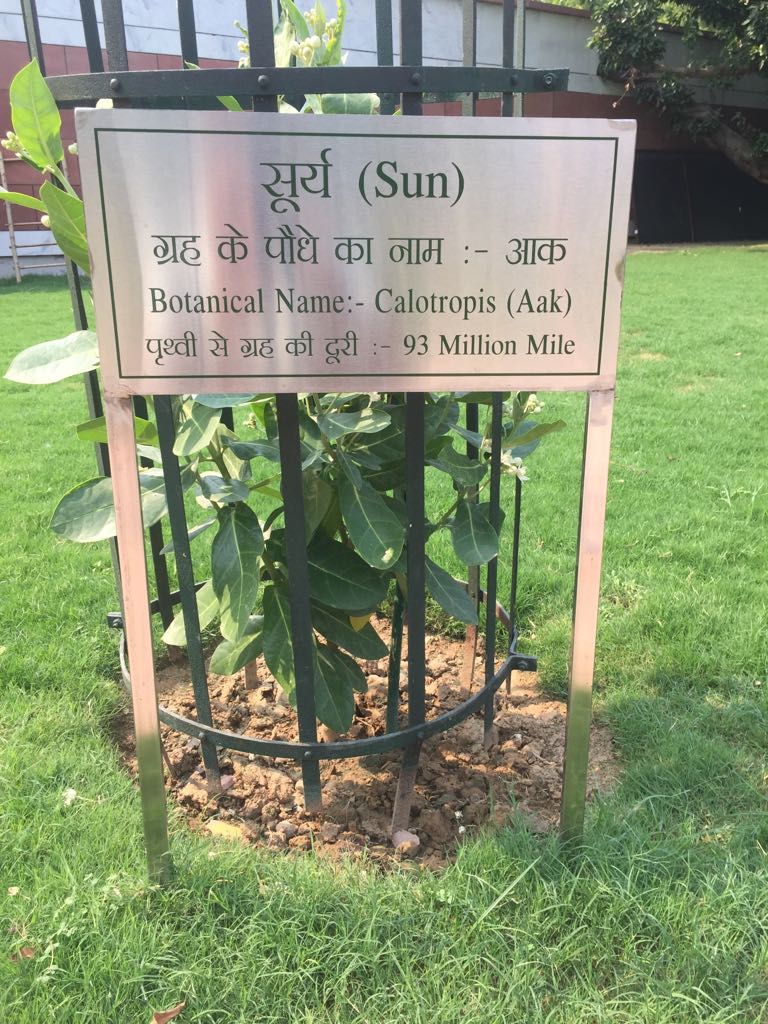 Navgraha Garden