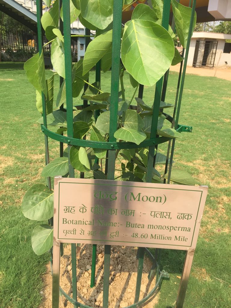 Navgraha Garden