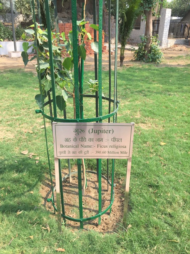 Navgraha Garden