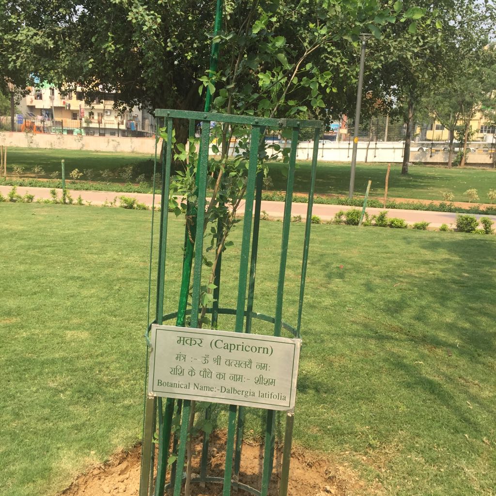 Rashiphal Garden