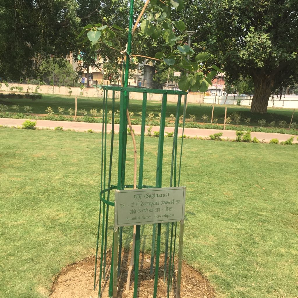 Rashiphal Garden
