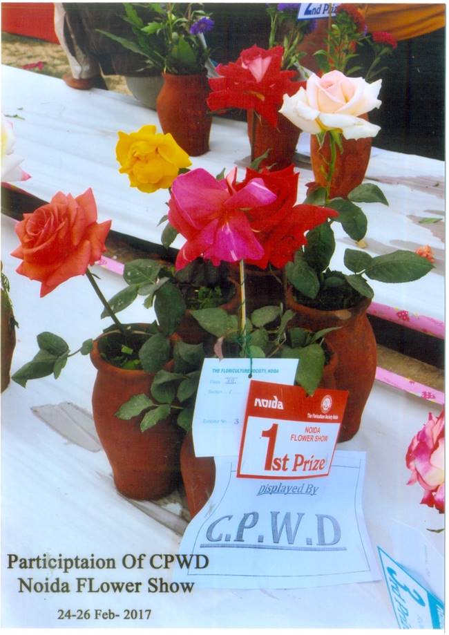 Flower Show at Noida 2017