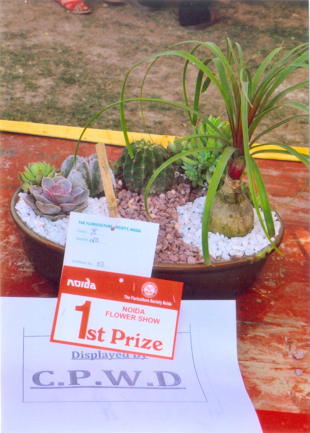 Flower Show at Noida 2017