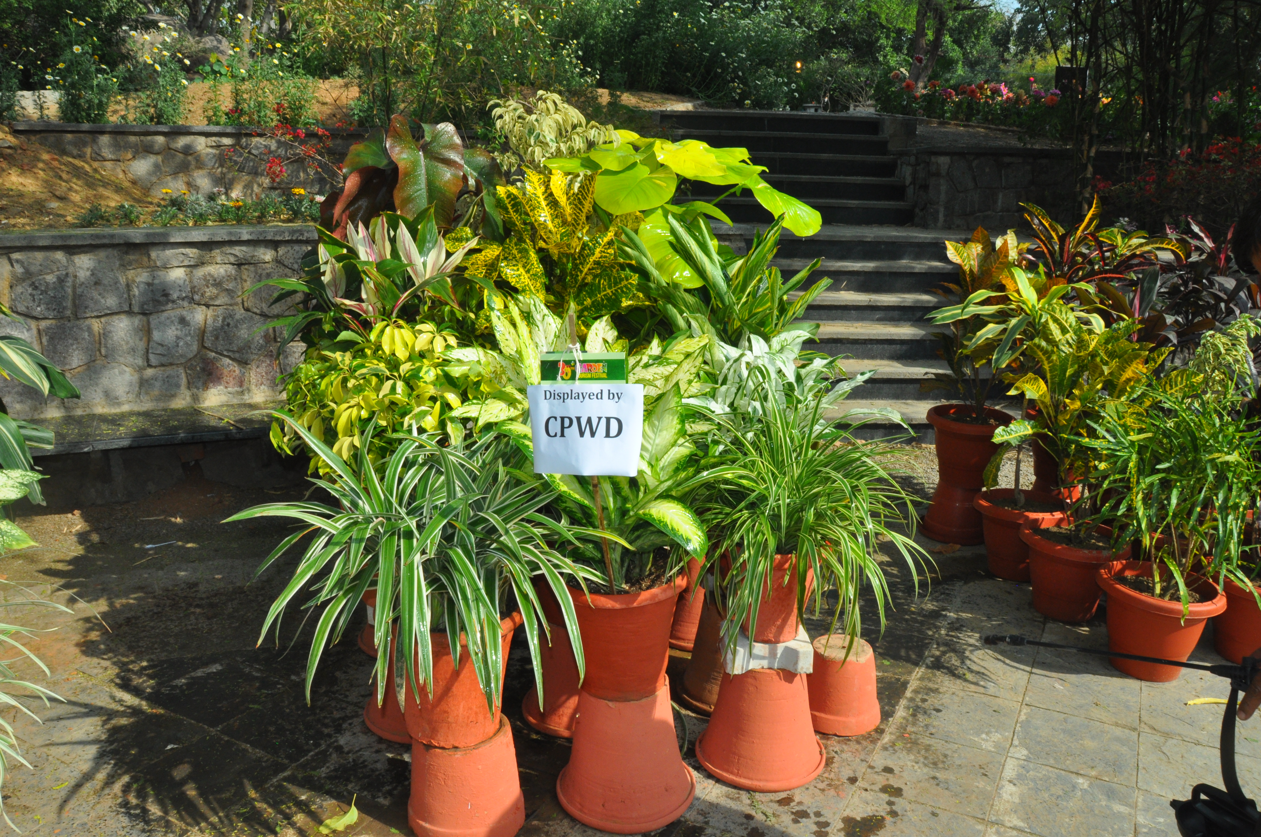 Flower Show at 30th Garden Tourism Festival 2017