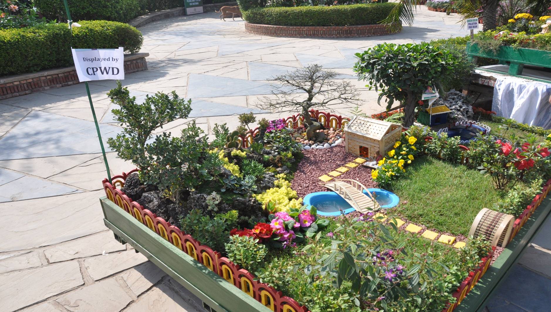 Flower Show at Noida 2017