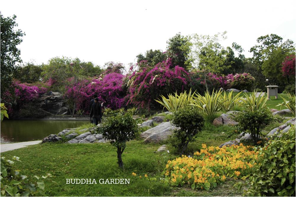 A Landscape view of park