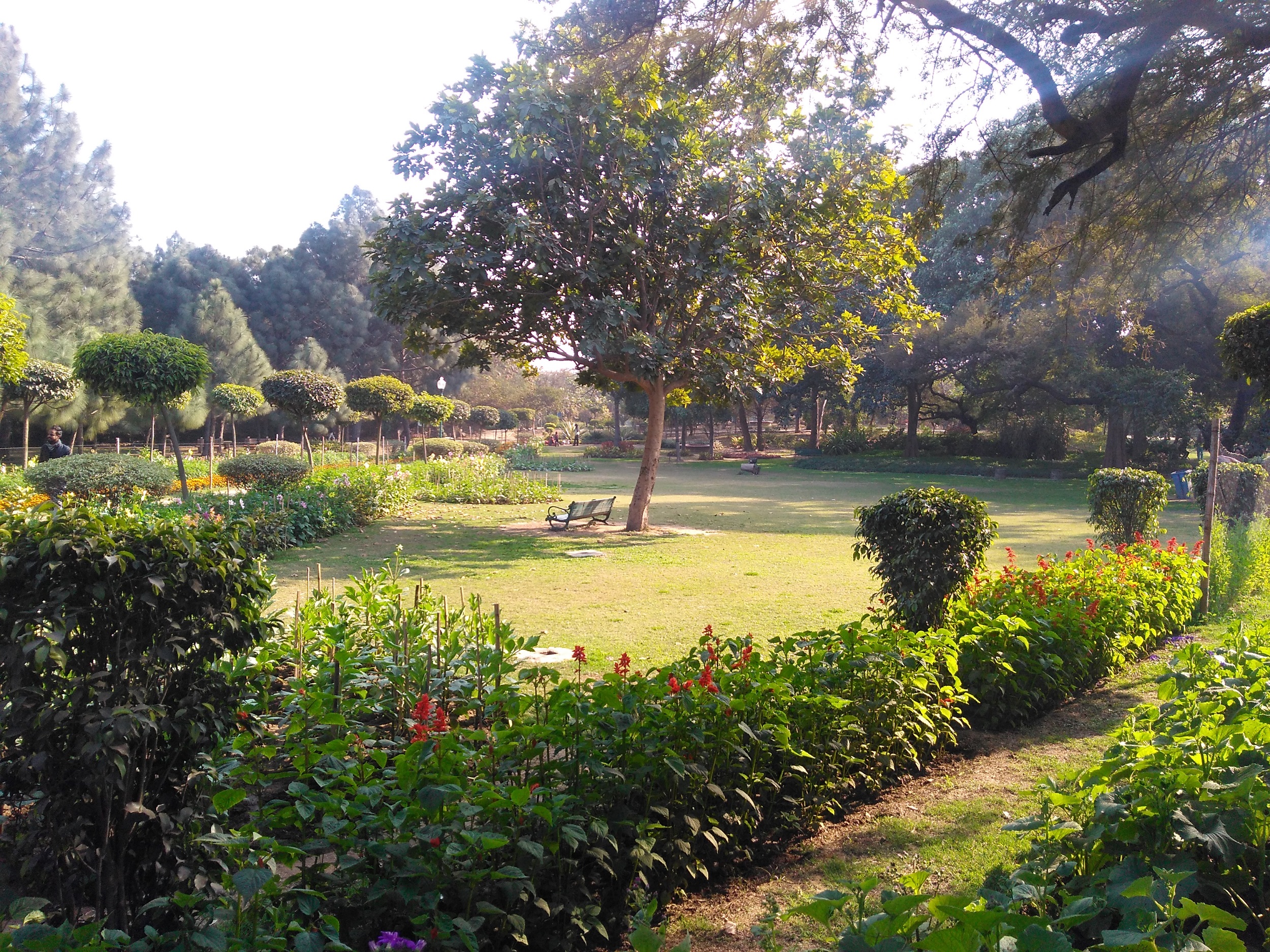 Open garden