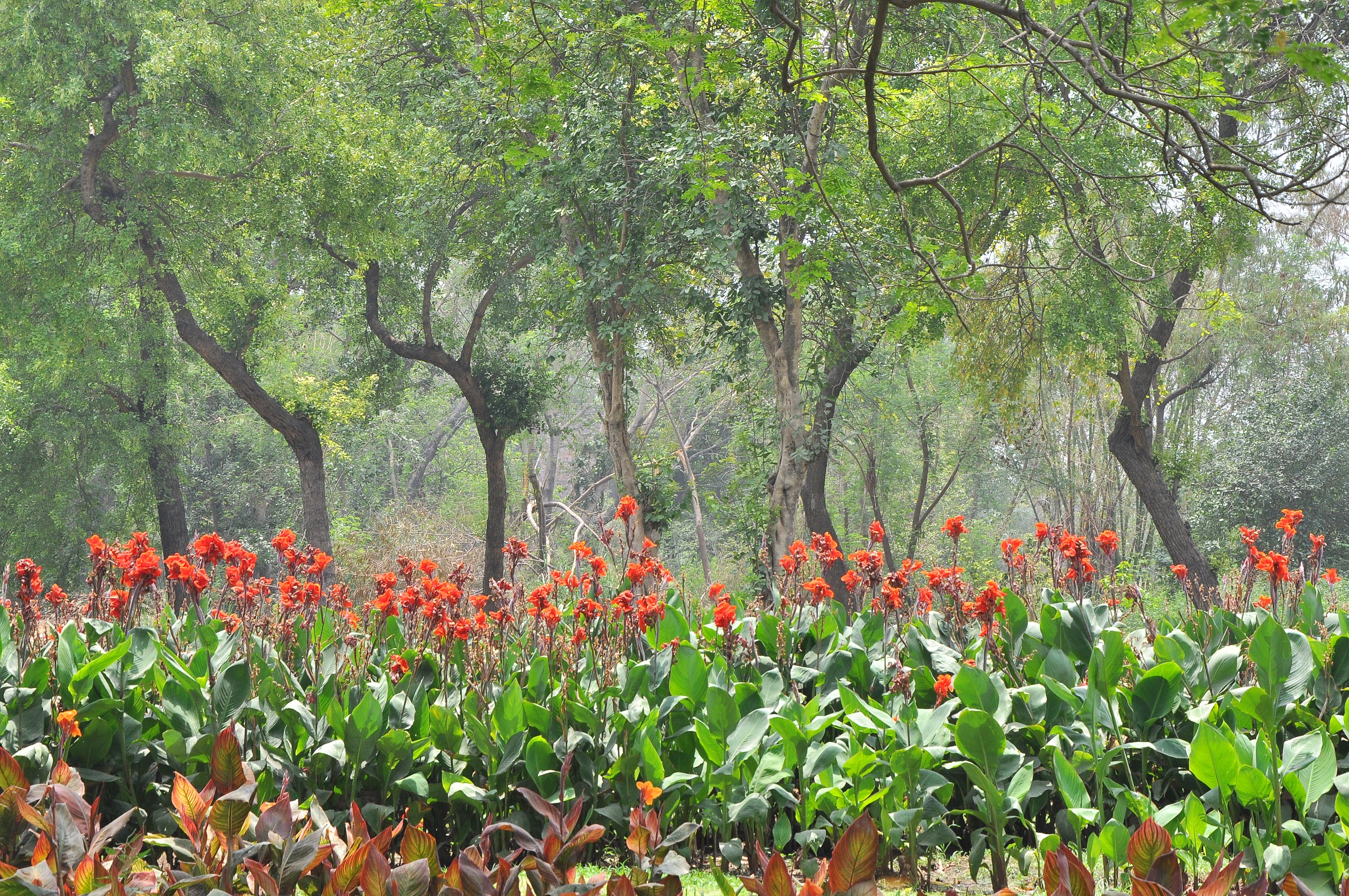 कन्ना अनुभाग