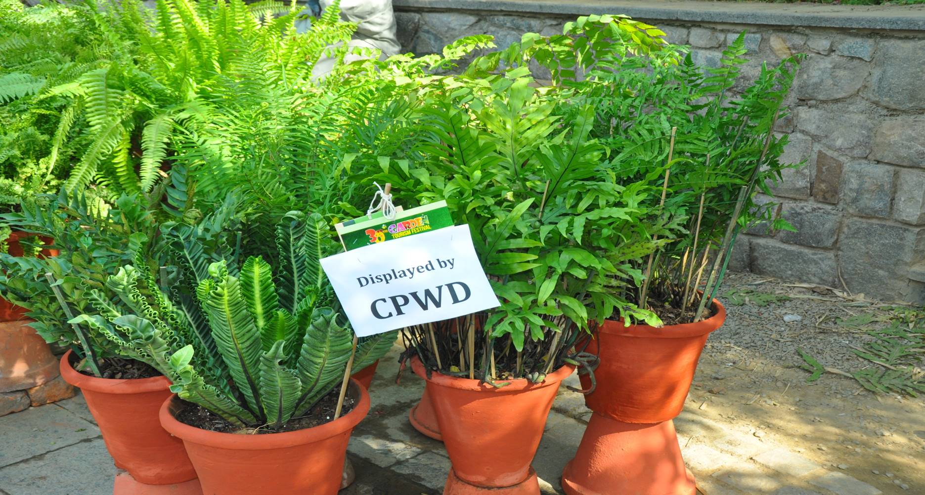Flower Show at 30th Garden Tourism Festival 2017