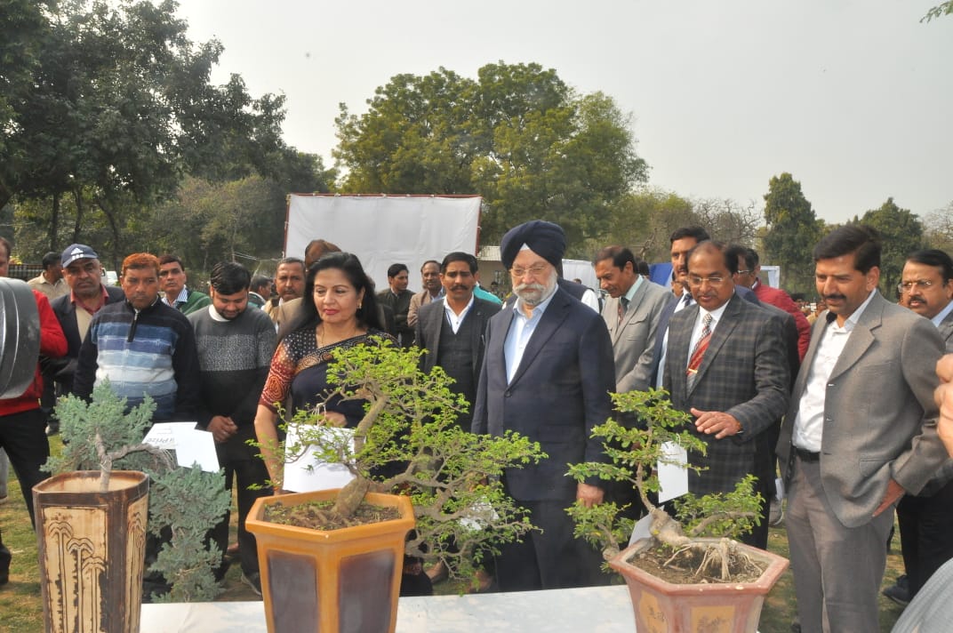 Flower Show & Garden Competition - 22nd & 23rd Feb.2020