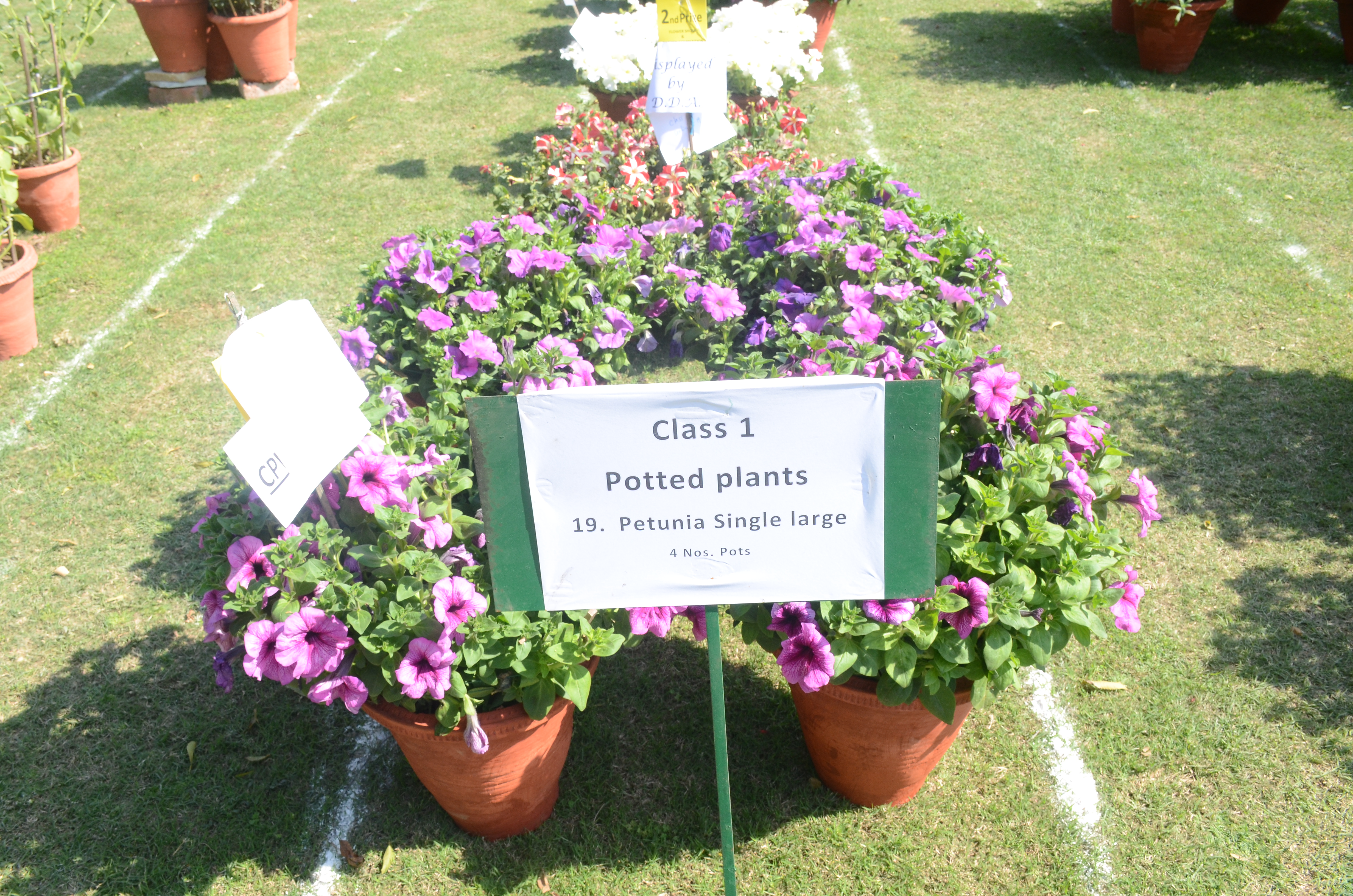 Govt. Mehrauli Nursery, 22nd and 23rd February, 2019.