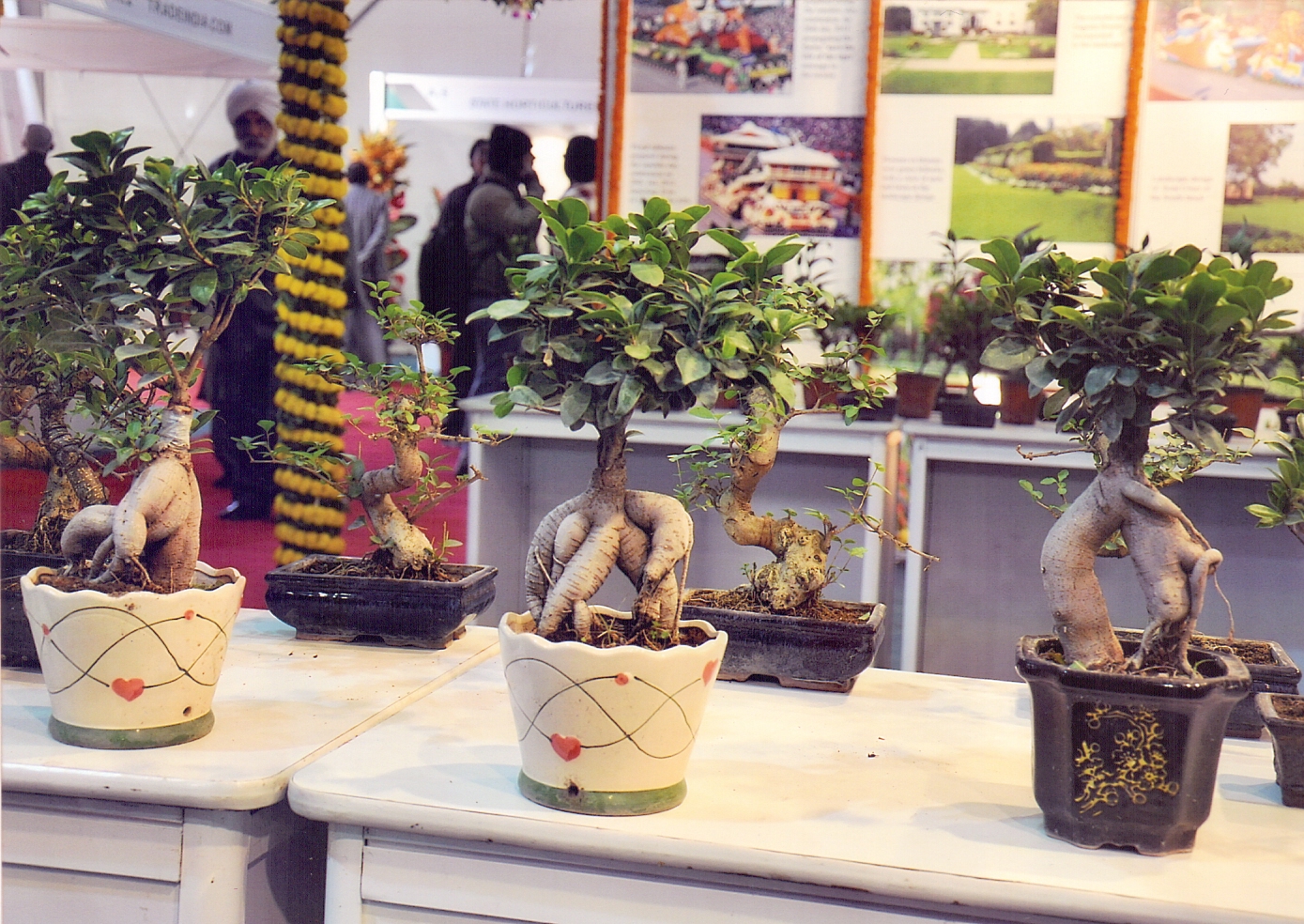 International Exhibition on Horticulture, Okhla