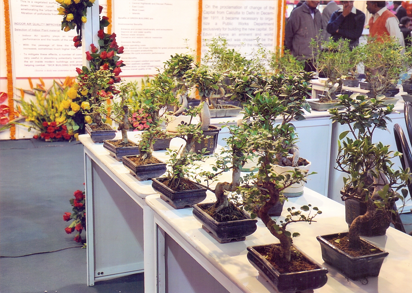 International Exhibition on Horticulture, Okhla