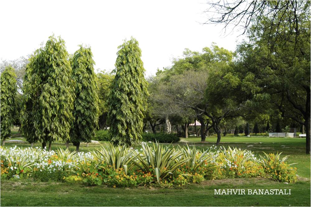 सरकार का प्रवेश द्वार दृश्य। सुन्दर नर्सरी