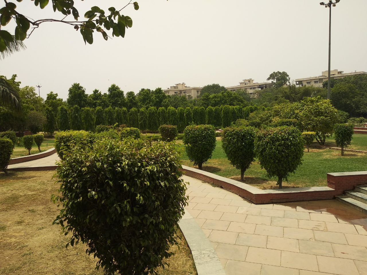 SAN MARTIN PARK